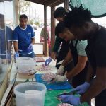 Chios, Refugee relief work – November8, 2016-10